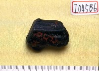 藏品(鹿角)的圖片